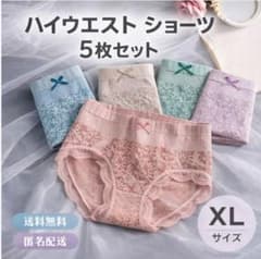 [XL] 5 색 세트 여성 반바지