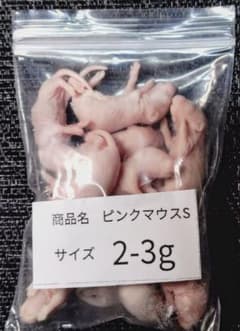 送料無料 冷凍ピンクマウスS50匹 - メルカリ