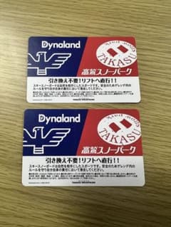 高鷲スノーパーク　ダイナランド　リフト券のサムネイル