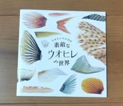 ウオヒレウロ子の素敵なウオヒレの世界のサムネイル