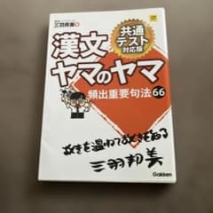 漢文ヤマのヤマ 共通テスト対応版 三羽邦美のサムネイル