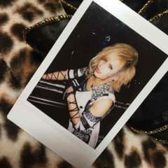 Royz チェキのサムネイル