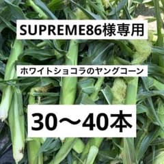 ホワイトショコラのヤングコーンのサムネイル
