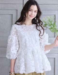 Chesty 25年春新作BUTTERFLIES Anna レースブラウス Chesty 25年春新作BUTTERFLIES Anna レースブラウス - メルカリ