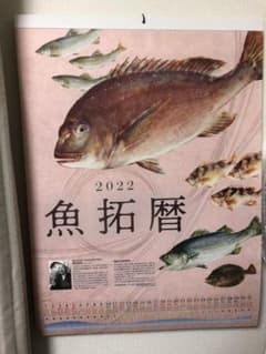 2022年　魚拓カレンダーのサムネイル