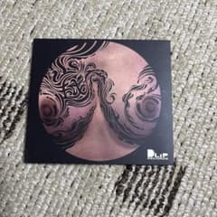 DUSTY HUSKY / 山越 (CD) - メルカリ