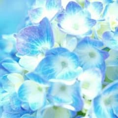 ありがとうございます♥のサムネイル