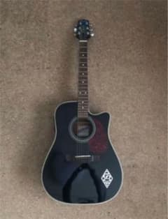 Cooder/Takamine TCW520 SZ-WDX付きのサムネイル