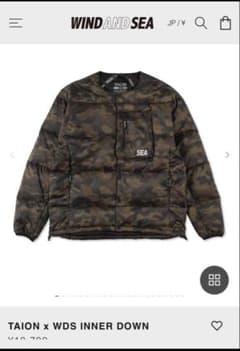 最終値下げ！TAION x WDS INNER DOWN CAMO Lサイズ TAION x WDS INNER DOWN CAMO Lサイズ - メルカリ