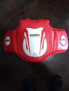 GINGPAI プロテクター Lサイズ 赤黒のサムネイル