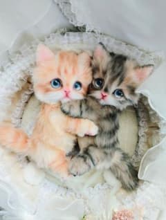 猫カゴ♡マンチカン姉妹♡子猫ちゃん♡アートドール♡ぬいぐるみ