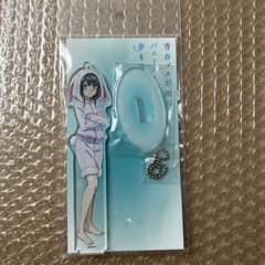 청춘 돼지 놈은 토끼 소녀 선배의 꿈을 꾸지 않는 아크릴 스탠드