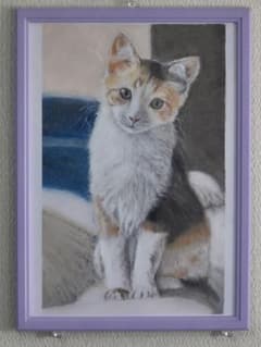 猫のオイルパステル画　 A4サイズ 紫フレーム付き　手描きのサムネイル