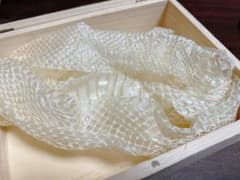 白蛇の抜け殻のサムネイル