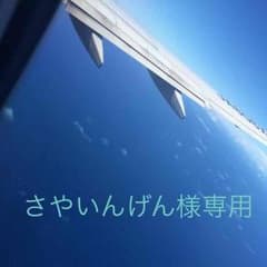 さやいんげん様専用のサムネイル