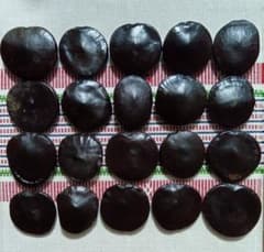 石垣島産モダマ　傷あり２０個セットのサムネイル