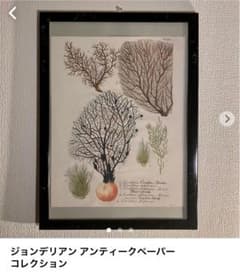 【きょん様専用アカウント】ジョンデリアン アートコレクションのサムネイル