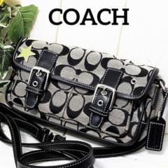 Coach AccessoryPouch mini shoulder y2k - メルカリ