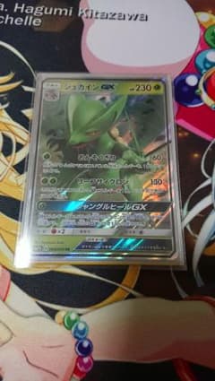 ジュカインＧＸ1枚のサムネイル