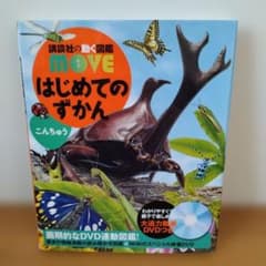 move はじめてのずかん こんちゅう 講談社の動く図鑑 昆虫 DVD付き
