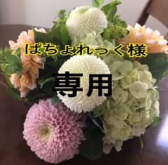 競泳水着　新品未使用　アクアフォース　ライトニング アリーナ FINA 高速水着のサムネイル