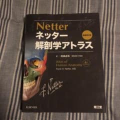 ネッター 解剖学アトラスのサムネイル