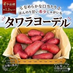 タワラヨーデル 希少品種　甘くて口当たりが滑らかなじゃがいも　1,200gのサムネイル