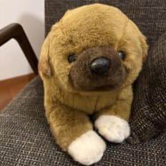 ファースト社 いたずら天使 子犬 犬 ぬいぐるみ 昭和レトロ - メルカリ