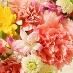 専用出品のサムネイル