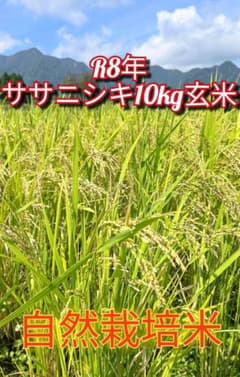 令和8年 自然栽培米 ササニシキ10kg玄米 - メルカリ
