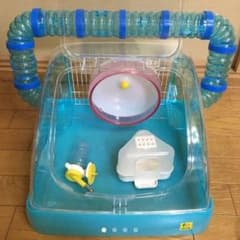 ワジ様専用のサムネイル