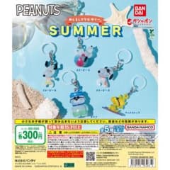 s*i様 PEANUTS めじるしアクセサリー SUMMER コンプリートセットのサムネイル