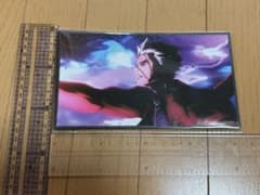 Fate/stay night HF 색지 아처 에미야