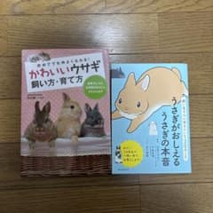 かわいいウサギ 飼い方・育て方のサムネイル