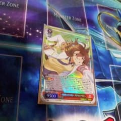 ヴァイスシュヴァルツ 可能性のその先へ アグネスタキオン SP ヴァイスシュヴァルツ 可能性のその先へ アグネスタキオン sp - メルカリ