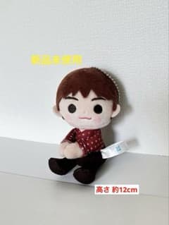 신품 미사용 ☆ TinyTAN 모어 플러스 붙어 봉제 인형 Dynamite Jin