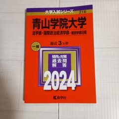 2024青山学院大学(法学部・国際政治経済学部)216のサムネイル
