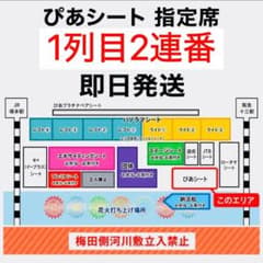 第38回 なにわ淀川花火大会 ぴあシート 1列 2連番のサムネイル