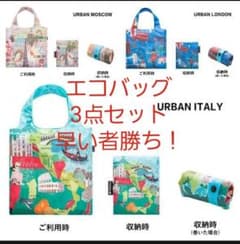 【入手困難】折りたたみ式　おしゃれなエコバッグ　3点セット　海外旅行好きな方へのサムネイル