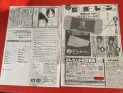 ヤングアニマル2025年17号アンケートプレゼントページとチェキの応募券