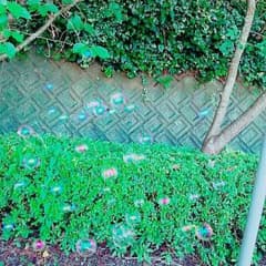 月るな様専用ページのサムネイル