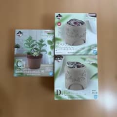 一番くじ 爬虫類＆両生類 フィギュア C賞・D賞・ラストワン賞のサムネイル