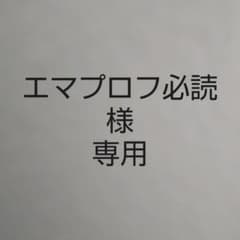 エマプロフ必読様専用のサムネイル