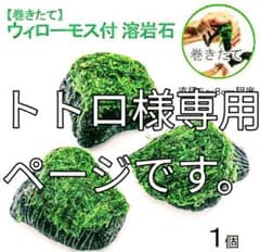 トトロ様 専用ページです。のサムネイル