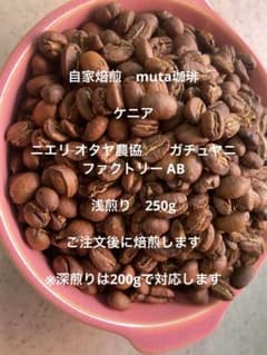 ケニア ニエリ オタヤ農協　　ガチュヤニファクトリー AB 浅煎り　250gのサムネイル