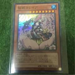 桜姫タレイアのサムネイル