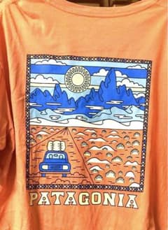 パタゴニア✳︎オーガニックコットンTシャツ　メンズSのサムネイル