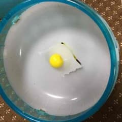返金用のサムネイル