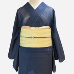 夏着物 無地 紋なし 絽 しつけ付き 裄67 身丈165.5 薄物 正絹 - メルカリ