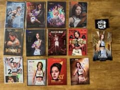 RIZIN ケイト・ロータス ライコレ カードセット - メルカリ